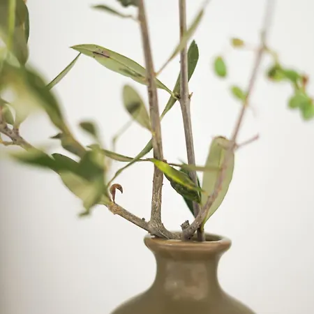 Villa Seaview With Pool *