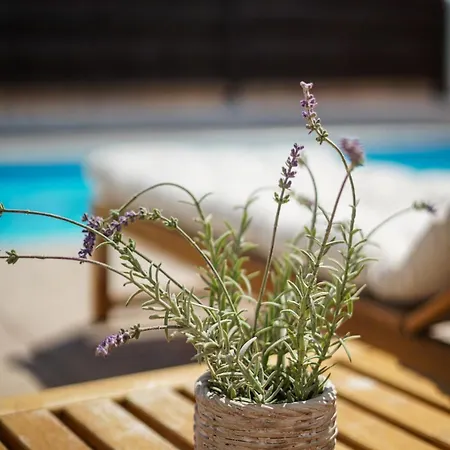 Seaview With Pool 别墅