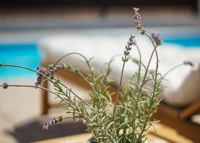 Seaview With Pool Vila