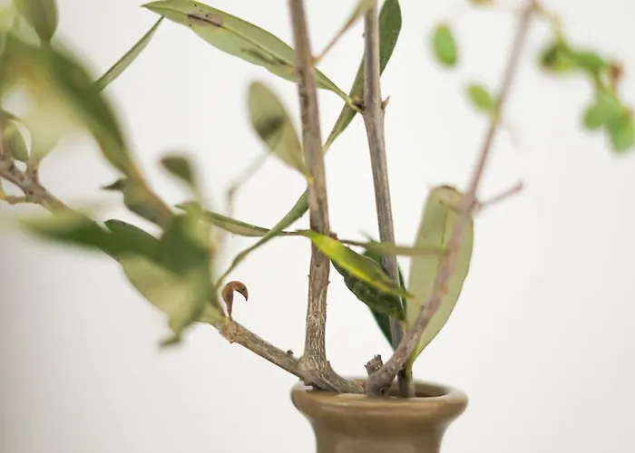 Vila Seaview With Pool *